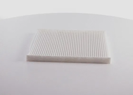 Filter, cabin air (0 986 BF0 719)