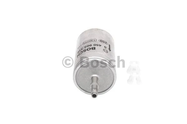 Fuel Filter (0 450 905 316)