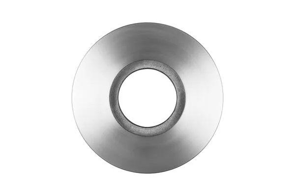 Brake Disc (0 986 BB4 020)