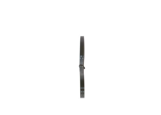 V-Ribbed Belt (1 987 947 563)