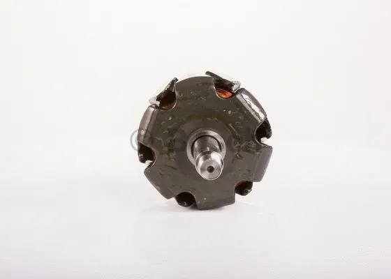 Rotor, alternator
