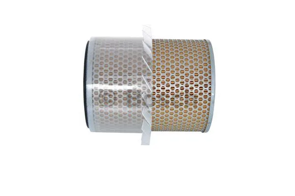 Air Filter (1 987 429 169)