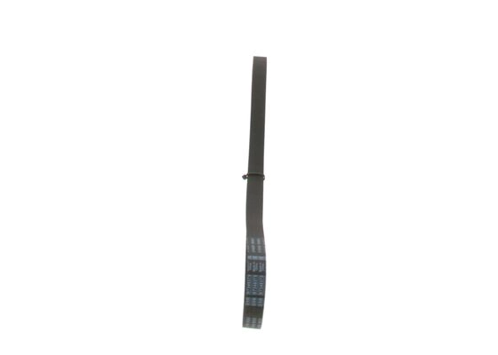 V-Ribbed Belt