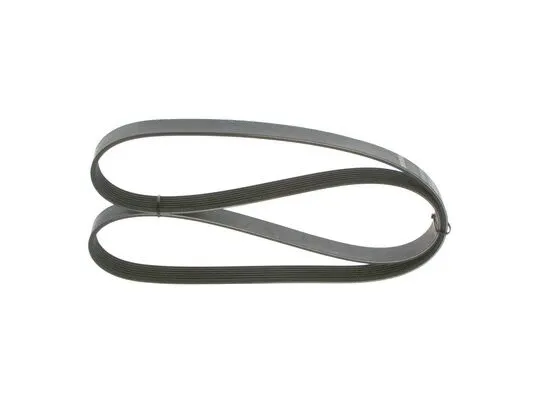 V-Ribbed Belt (1 987 946 272)