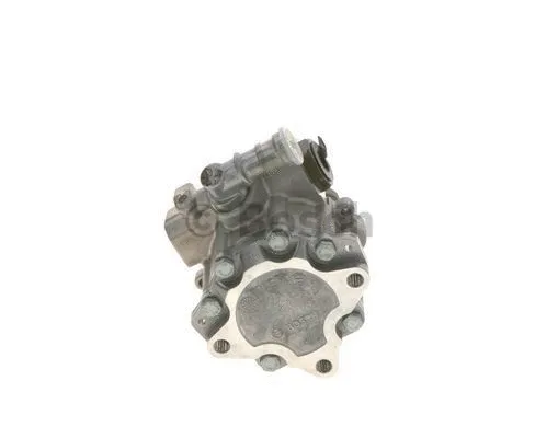 Hydraulic Pump, steering (K S00 000 548)