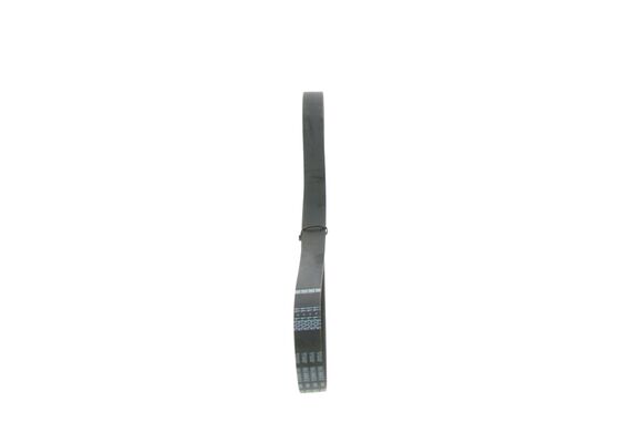 V-Ribbed Belt