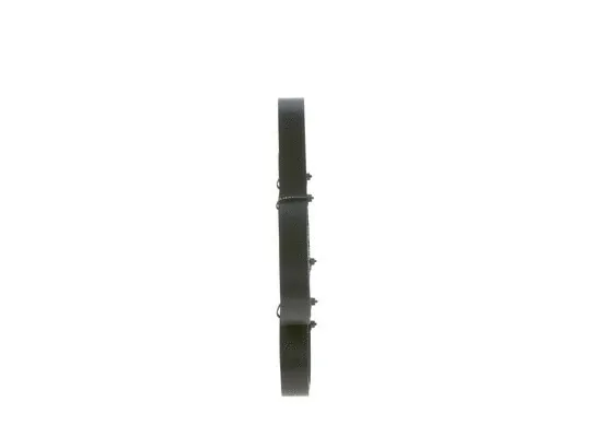 V-Ribbed Belt