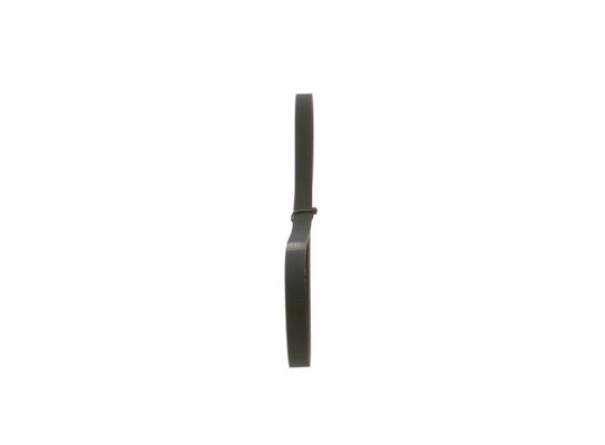 V-Ribbed Belt (1 987 948 337)