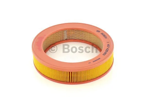 Air Filter (1 457 429 801)