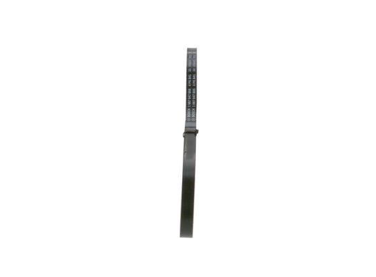 V-Ribbed Belt