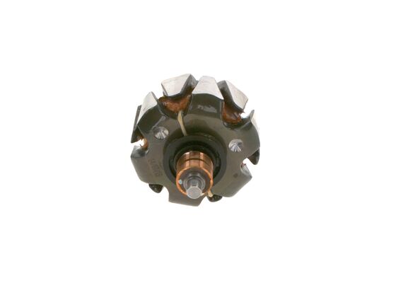 Rotor, alternator