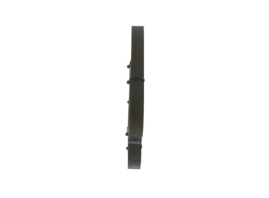 V-Ribbed Belt (1 987 948 451)