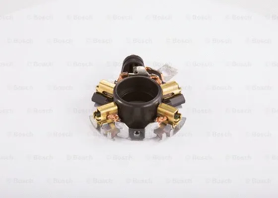 Holder, carbon brushes