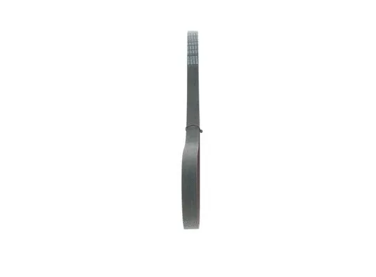 V-Ribbed Belt (1 987 946 128)