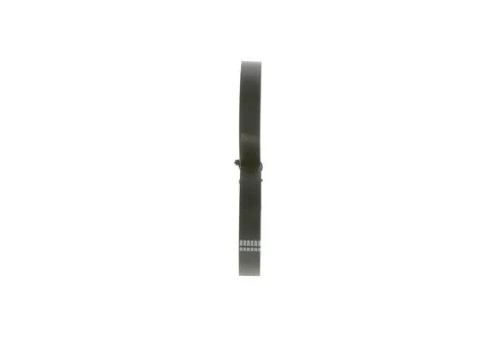 V-Ribbed Belt