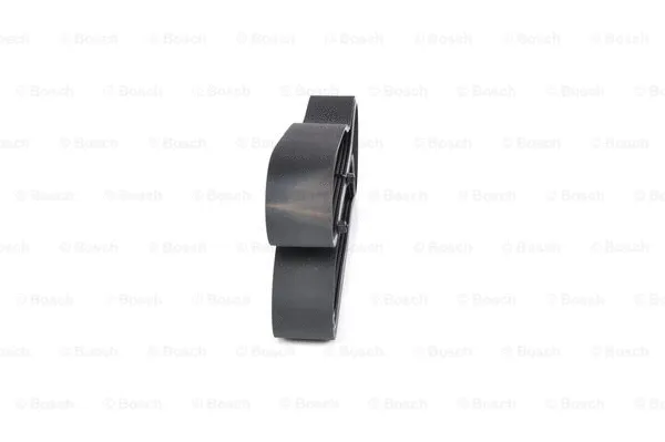 V-Ribbed Belt