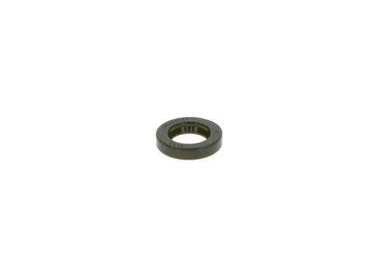 Shaft Seal (1 120 283 000)