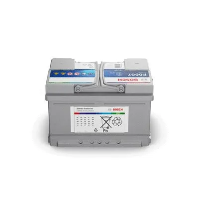 Starter Battery
