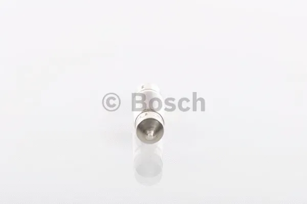 Bulb