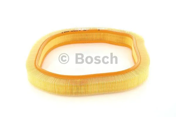 Air Filter (1 457 429 787)