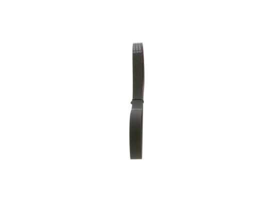 V-Ribbed Belt