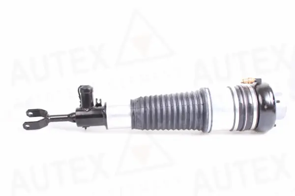 Air Spring, suspension (933010)