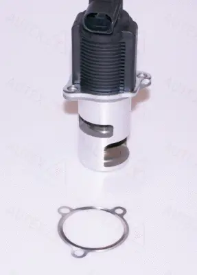 EGR Valve (959019)