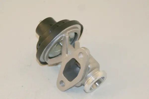 EGR Valve (959151)
