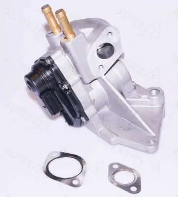 EGR Valve (959296)