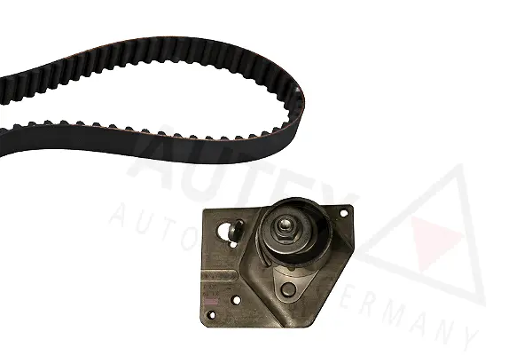 Timing Belt Kit (702609)