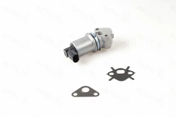 EGR Valve (959318)