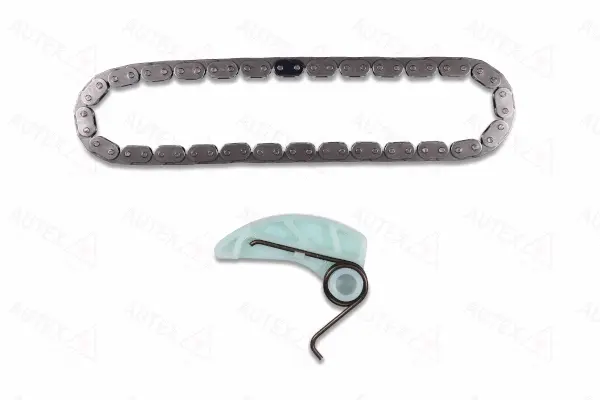 Chain Kit, oil pump drive (711618)
