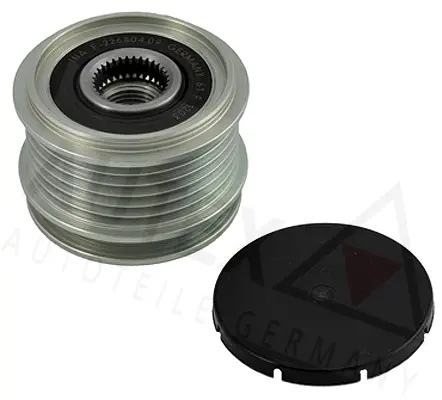 Alternator Freewheel Clutch (621010)