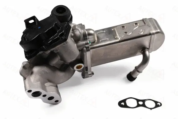 EGR Module (959518)