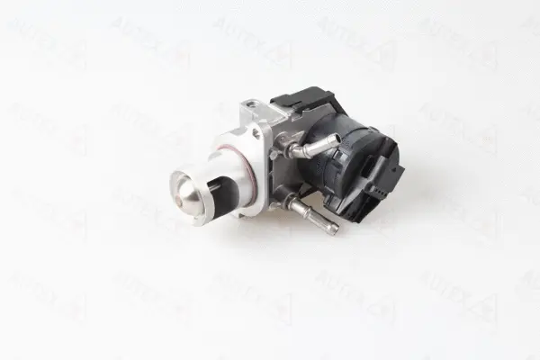 EGR Valve (959118)