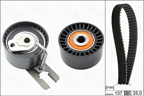 Timing Belt Kit (702917)