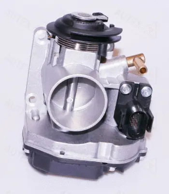 Throttle Body (961055)