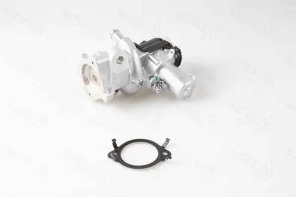EGR Valve (959379)