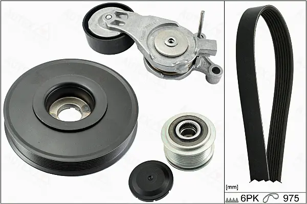 V-Ribbed Belt Set (702858)