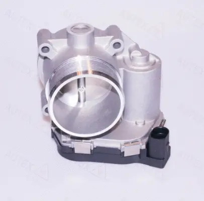 Throttle Body (961025)