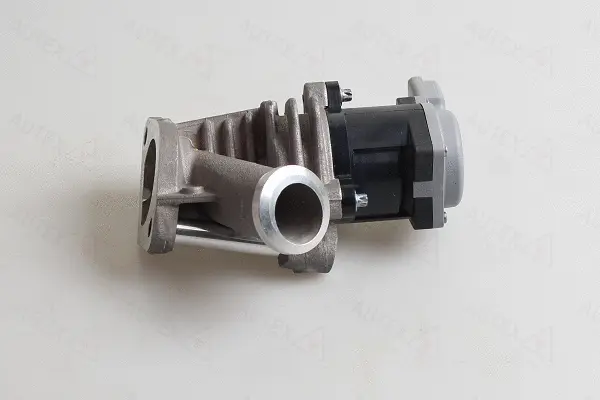 EGR Valve (959358)