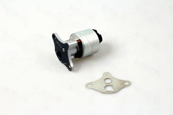 EGR Valve (959517)