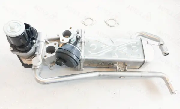 EGR Module (959500)