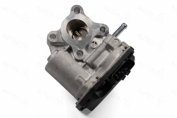 EGR Valve (959596)