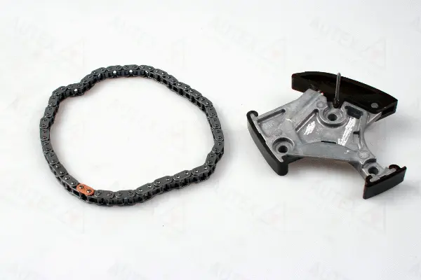 Chain Kit, oil pump drive (711155)