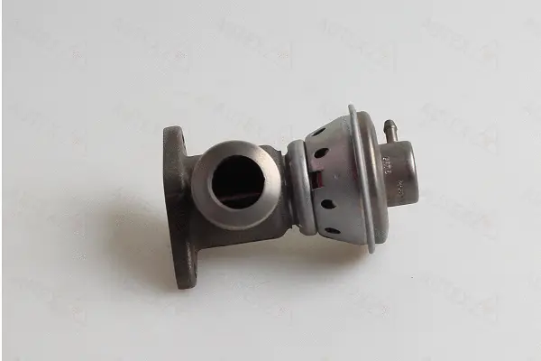 EGR Valve (959516)
