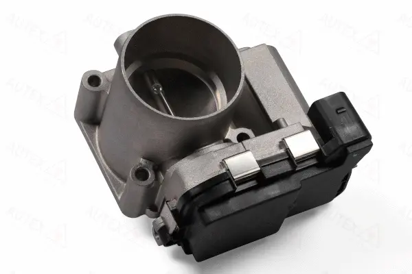 Throttle Body (961073)