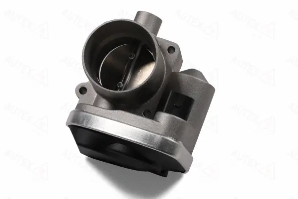 Throttle Body (961024)