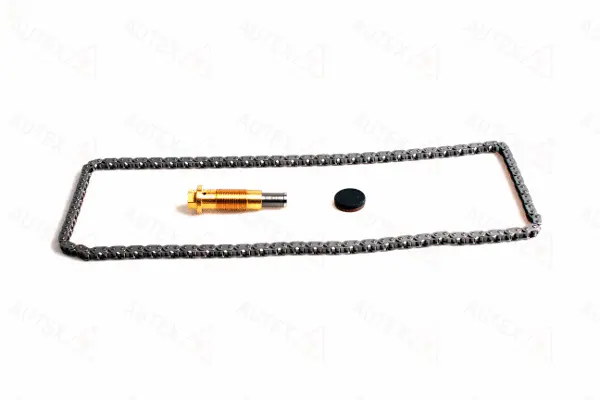 Timing Chain Kit (711279)
