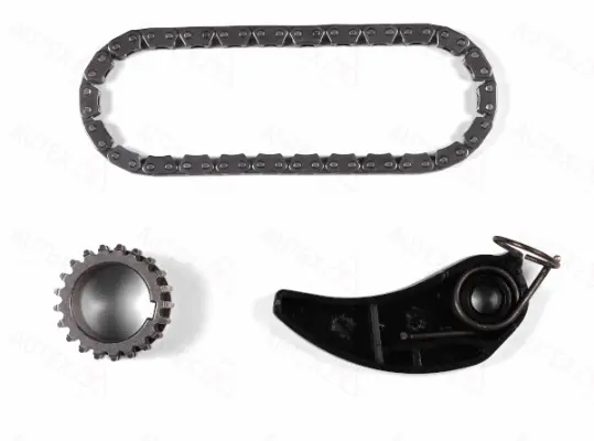 Chain Kit, oil pump drive (711595)